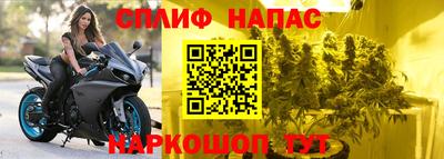 стаф Кунгур