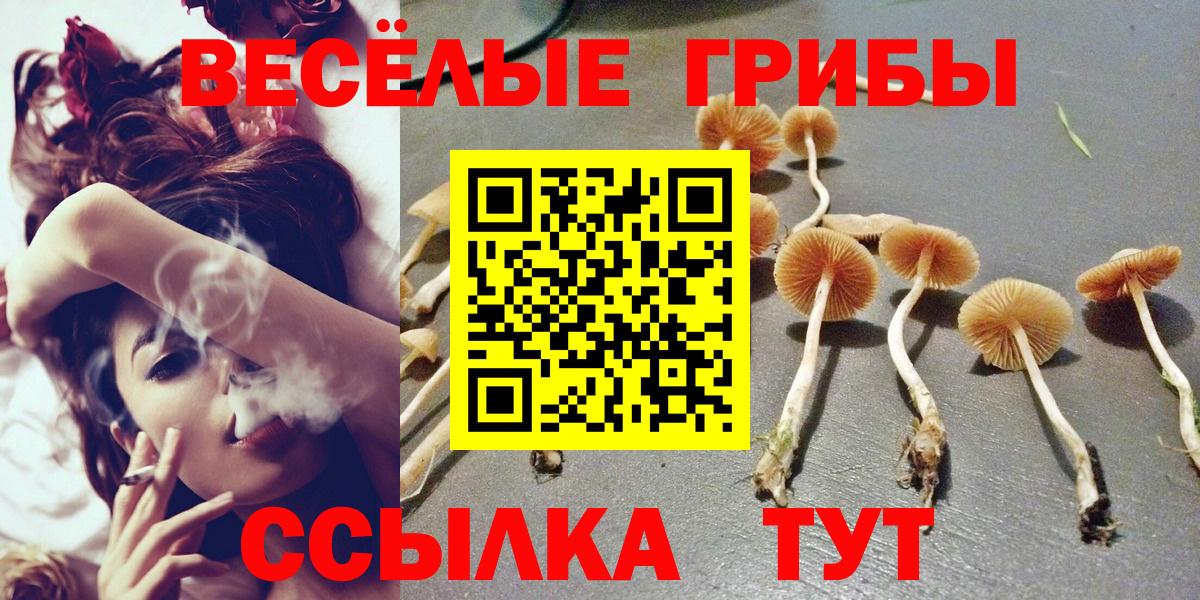 Псилоцибиновые грибы MAGIC MUSHROOMS Киселёвск